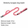 Tactical Dog Collar & Leash