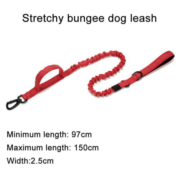 Tactical Dog Collar & Leash