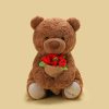 Teddy Bear with Roses Plush Toy Romantic Gift