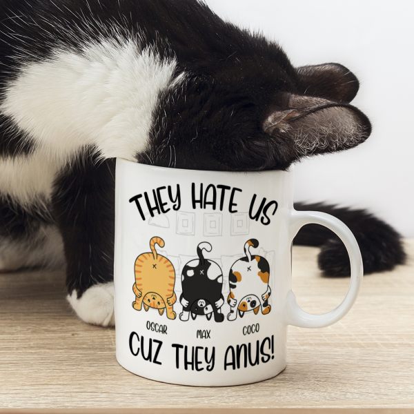 They Hate Us Cuz They Anus Personalized Cat Mug, Gift For Cat Lovers