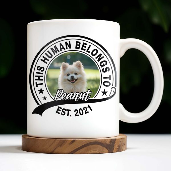 This Human Belongs To Customizable Pet - Personalized Custom Coffee Mug - DOG040_MG