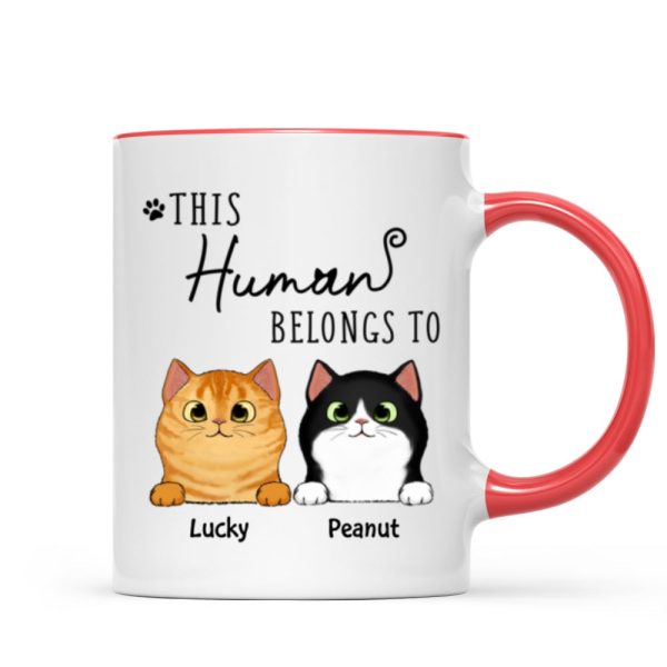 This Human Belongs To Fluffy Cats Personalized Mug