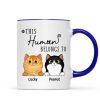 This Human Belongs To Fluffy Cats Personalized Mug