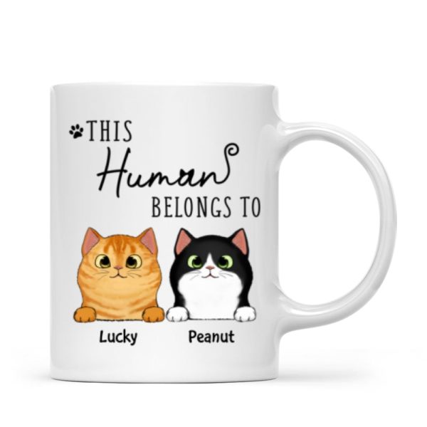 This Human Belongs To Fluffy Cats Personalized Mug