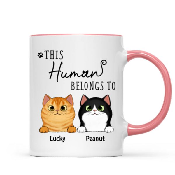 This Human Belongs To Fluffy Cats Personalized Mug