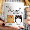 This Human Belongs To Fluffy Cats Personalized Mug