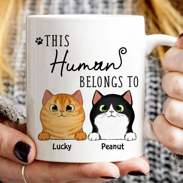 This Human Belongs To Fluffy Cats Personalized Mug