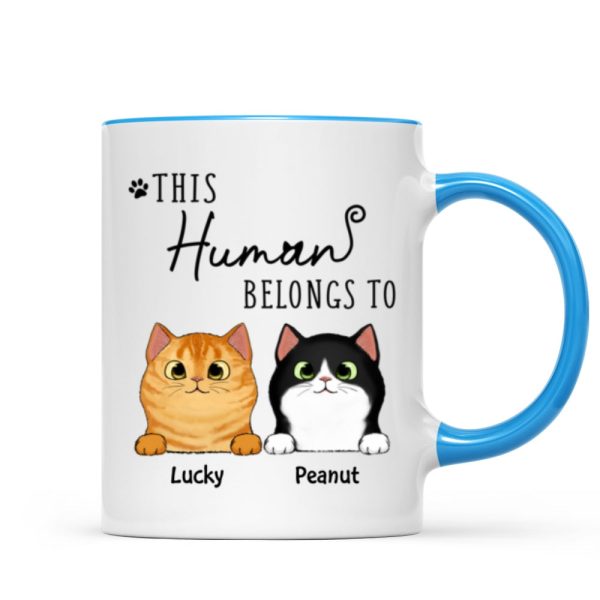 This Human Belongs To Fluffy Cats Personalized Mug