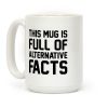This Mug Is Full of Alternative Facts Coffee Mug