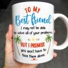 To My Best Friend, Tropical Friendship Promise - Personalized Custom Coffee Mug - BST183_MG