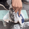 Ultimate Shoe Foam Cleaner