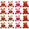 Valentine Small Plush Bear with Heart Soft Stuffed Toy