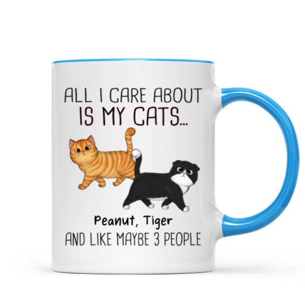 Walking Fluffy Cats Gift For Cat Lovers Personalized Mug