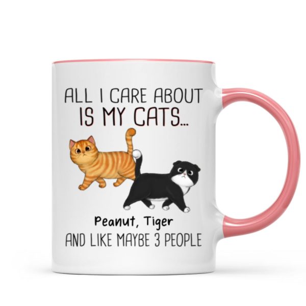 Walking Fluffy Cats Gift For Cat Lovers Personalized Mug