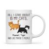 Walking Fluffy Cats Gift For Cat Lovers Personalized Mug