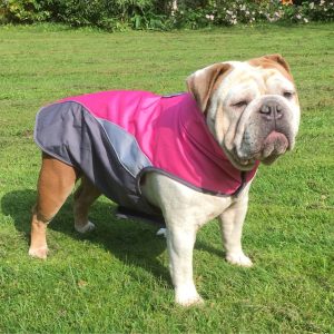 Waterproof Dog Poncho