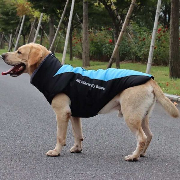 Waterproof Jacket for Dogs