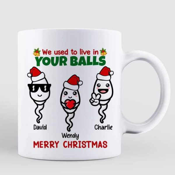 We Used To Live In Your Ball Funny Christmas Gift For Dad Personalized Mug