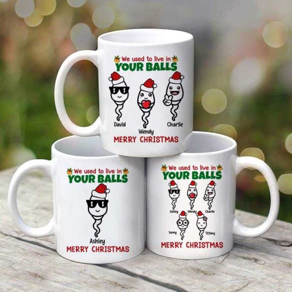 We Used To Live In Your Ball Funny Christmas Gift For Dad Personalized Mug