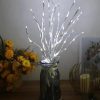 White Birch Branch Light