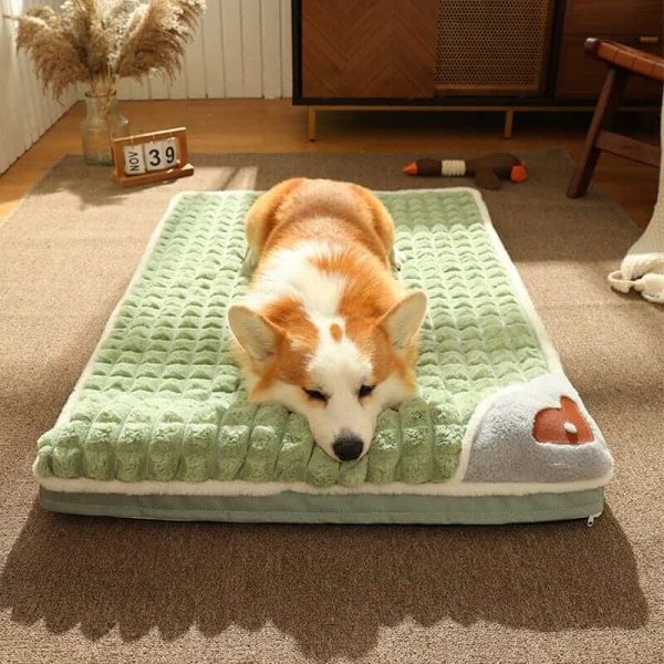 Winter Dog Mat