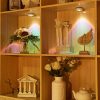 Wireless Sunset Lamp