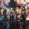 Wrestling Figure