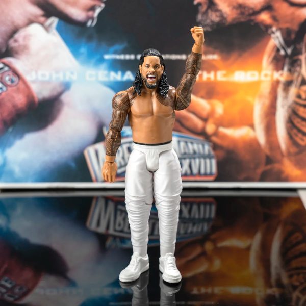 Wrestling Figure