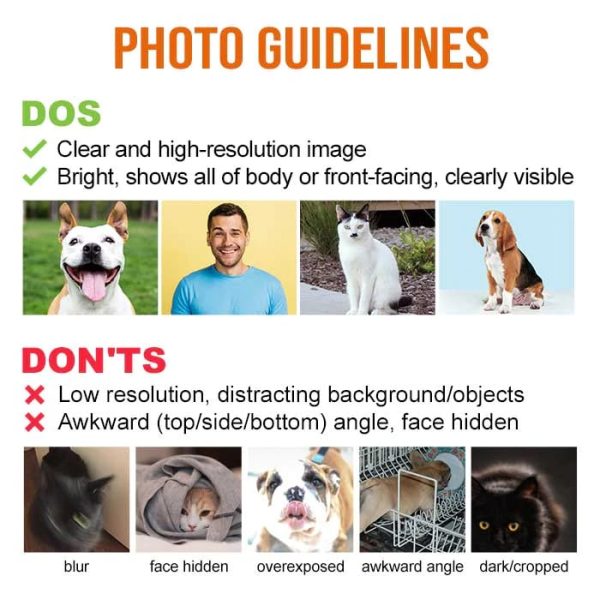 You Always Make Me Smile - Upload Image, Gift For Besties - Personalized Mug