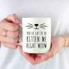 You've Cat to Be Kitten Me Right Meow Coffee Mug Funny Cat Lover Gift for Cat Mom Women Friend, Birthday Christmas Gift